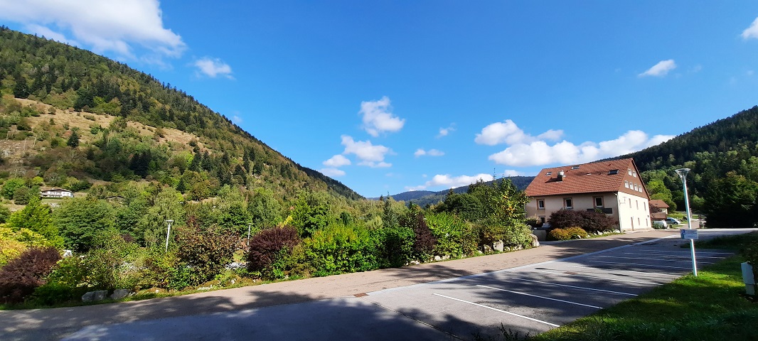 Im Herbst 2020 (9)